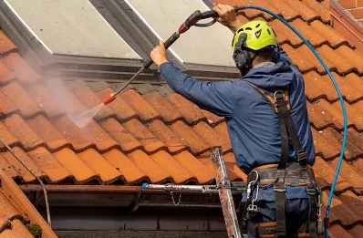 Démoussage et hydrofuge de toiture à Chavanat